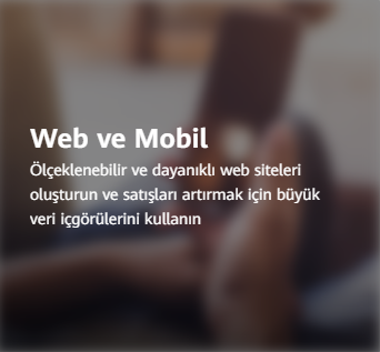 web ve mobil